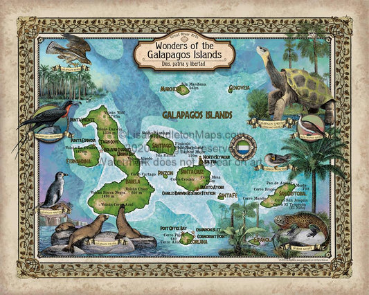 Travel Map Feature: Custom map of the Galapagos Islands image