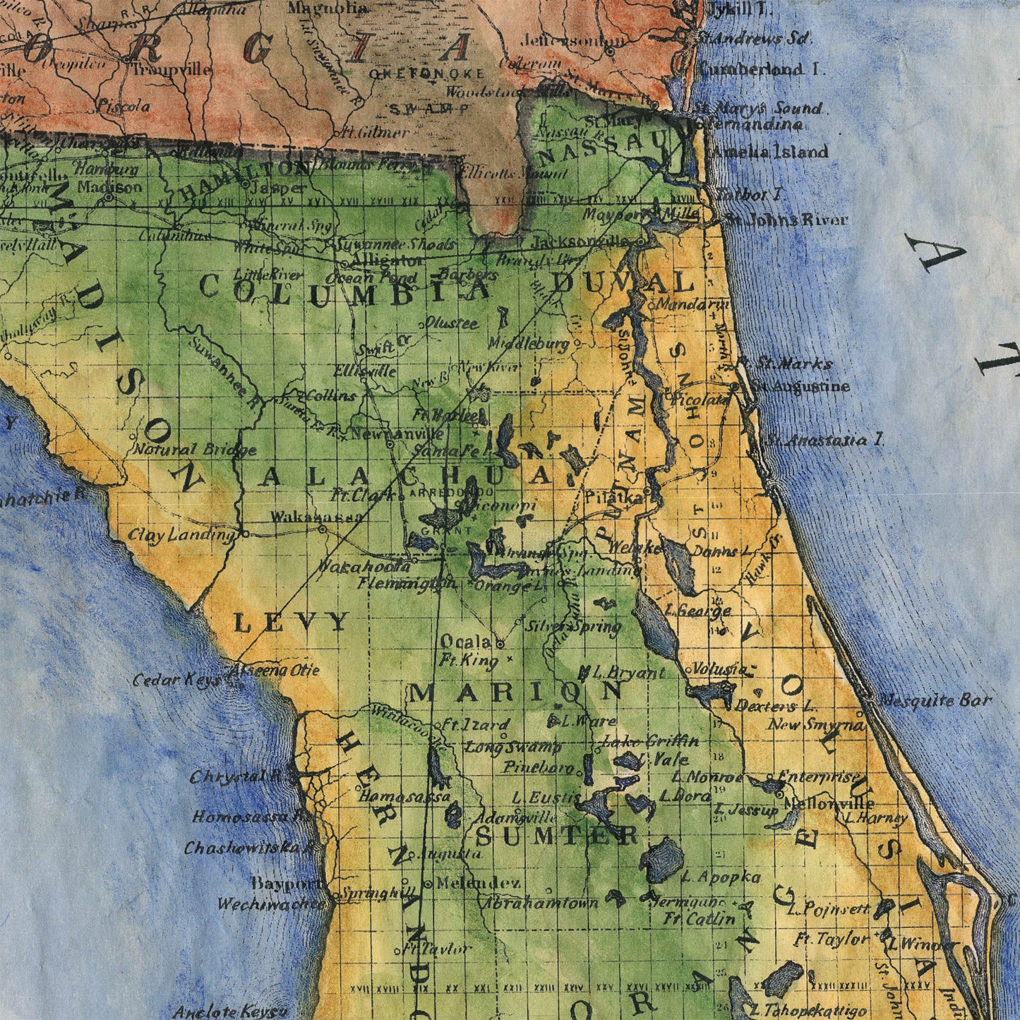 Colton Florida Map Blanket Double Stitched Edges Cozy Luxury Fluffy Super Soft 430 GSM Polyester Throw Blanket