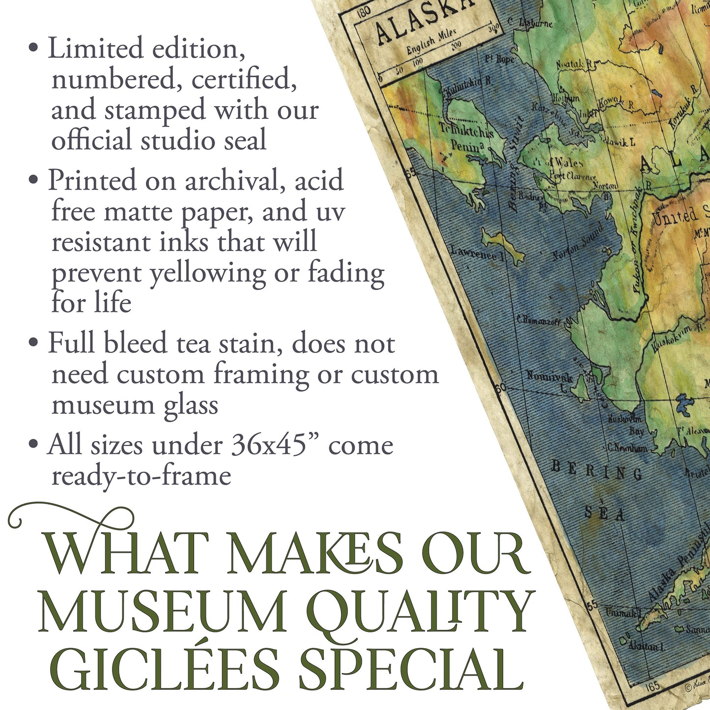 012 Alaska 1906 11x14" vintage historic antique map poster print by Lisa Middleton