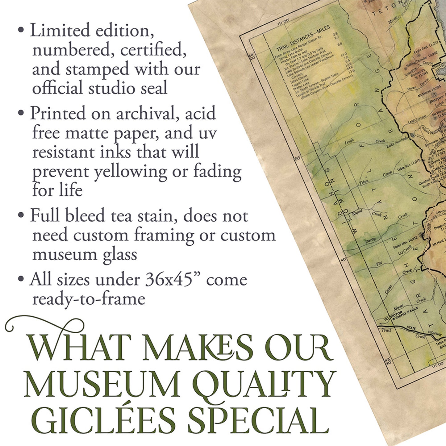 120 Wyoming Teton National Park 11x14" Hand painted map,Historical Map,map art,antique map,old print map,Missoula,Montana By Lisa Middleton