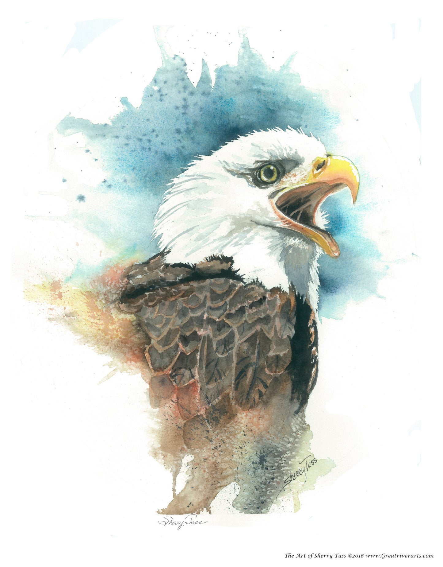 The Art of Sherry Tuss: Bald Eagle