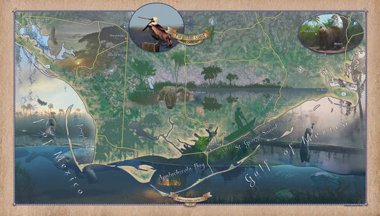 262 - The Forgotten Coast of Florida