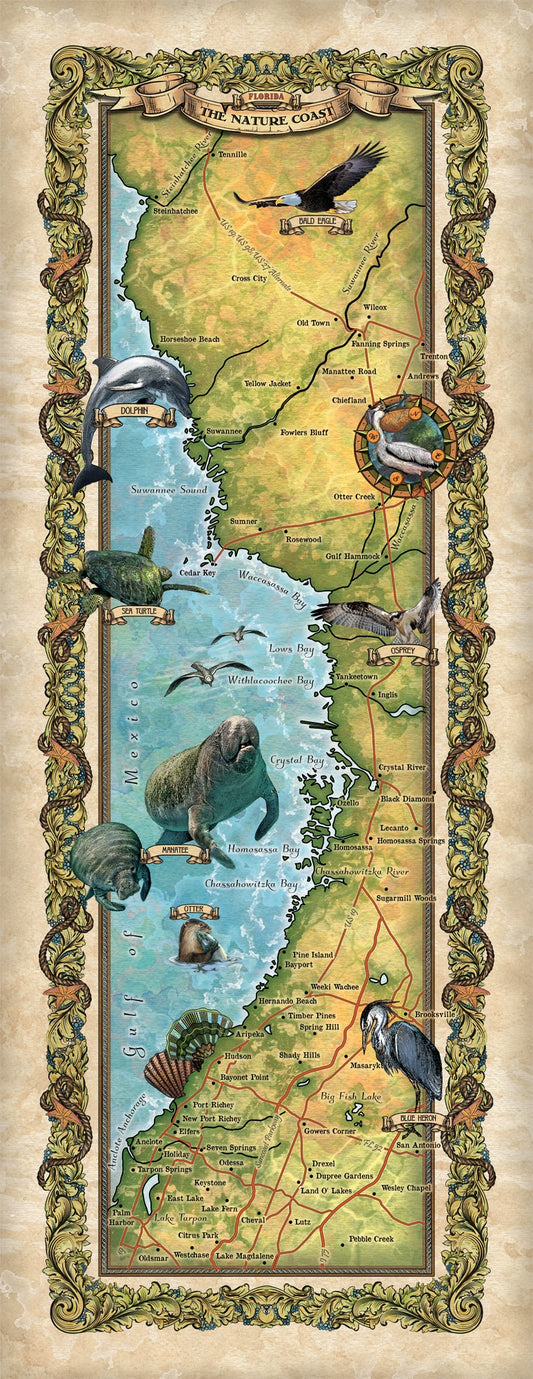 Natural Coast of Florida, Including Crystal River