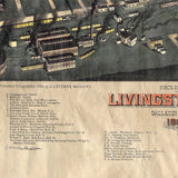 70 Livingston, Montana 1884 Vintage map,Montana vintage map,old map,map art vintage,vintage map Montana,map antique,Montana map,nautical map