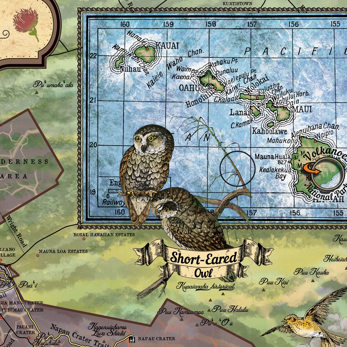 Hiking Volcanoes National Park Hawaii Vintage Map Art Poster Print Vintage Style Inspirational Wall Art Poster For Home Decor Office Bedroom Canvas Classroom Decor & Great Travel Gift