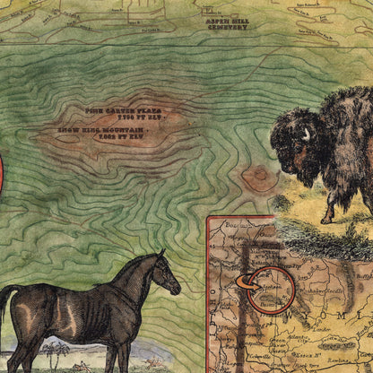 35 Jackson Wyoming and Vicinity 11x14" vintage historic antique map poster print by Lisa Middleton