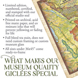 Bob Marshall Spotted Bear Montana Historic Map Art Print Poster Artwork Vintage Style Abstract Wall-Unframed Great Home Decor & Gift