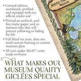 Great River Arts Whitefish Chain of Lakes with Illustrations Historic Map Reproduction Artwork Wall Art Print Vintage