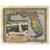 011 Adapted Florida 1847 Featuring St. Augustine 1778 Vintage map,Vintage map art,Florida vintage map,old map,antique maps,map vintage,map a